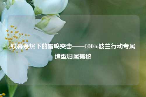 铁幕余烬下的雷鸣突击——COD16波兰行动专属造型归属揭秘