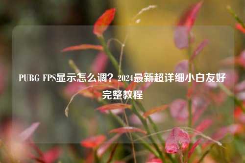PUBG FPS显示怎么调？2024最新超详细小白友好完整教程