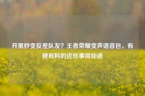 开黑秒变反差队友?王者荣耀变声语音包,有梗有料的这些事得知道