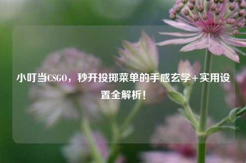 小叮当CSGO,秒开投掷菜单的手感玄学+实用设置全解析!