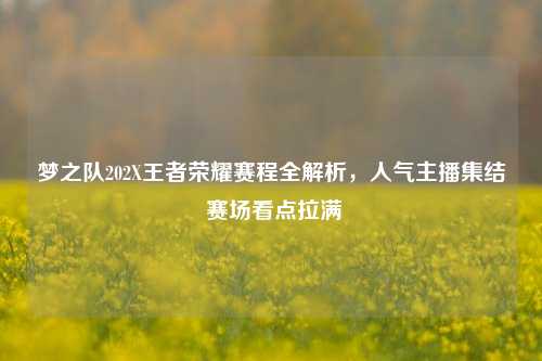 梦之队202X王者荣耀赛程全解析，人气主播集结 赛场看点拉满