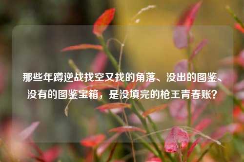 那些年蹲逆战找空又找的角落、没出的图鉴、没有的图鉴宝箱，是没填完的枪王青春账？