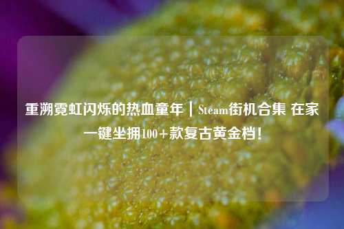 重溯霓虹闪烁的热血童年|Steam街机合集 在家一键坐拥100+款复古黄金档!