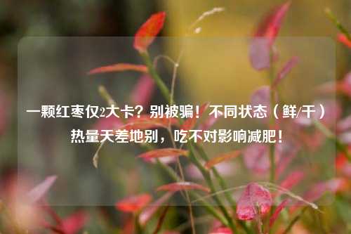 一颗红枣仅2大卡？别被骗！不同状态（鲜/干）热量天差地别，吃不对影响减肥！