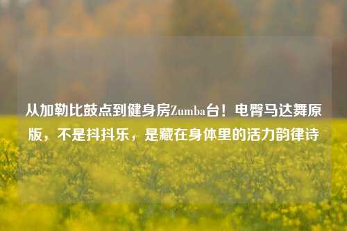 从加勒比鼓点到健身房Zumba台!电臀马达舞原版,不是抖抖乐,是藏在身体里的活力韵律诗
