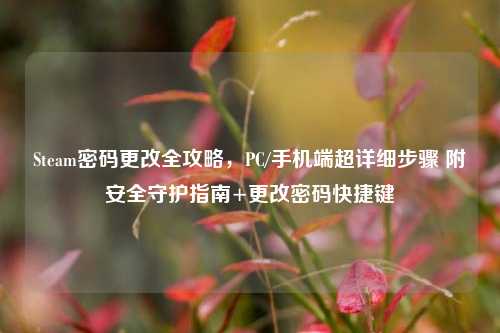 Steam密码更改全攻略,PC/手机端超详细步骤 附安全守护指南+更改密码快捷键