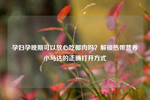 孕妇孕晚期可以放心吃椰肉吗？解锁热带营养小马达的正确打开方式
