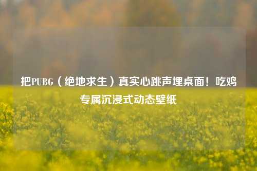 把PUBG（绝地求生）真实心跳声埋桌面！吃鸡专属沉浸式动态壁纸