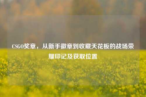 CSGO奖章,从新手徽章到收藏天花板的战场荣耀印记及获取位置