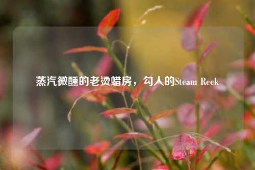 蒸汽微醺的老烫蜡房,勾人的Steam Reek