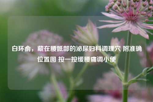 白环俞,藏在腰骶部的泌尿妇科调理穴 附准确位置图 按一按缓腰痛调小便
