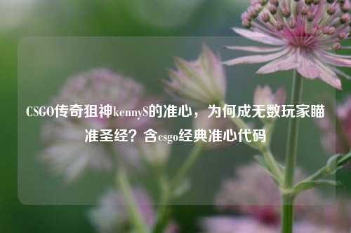 CSGO传奇狙神kennyS的准心，为何成无数玩家瞄准圣经？含csgo经典准心代码