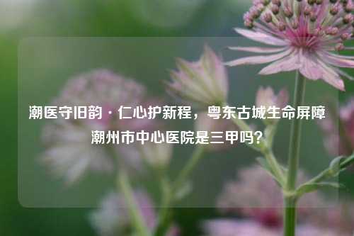 潮医守旧韵·仁心护新程,粤东古城生命屏障潮州市中心医院是三甲吗?