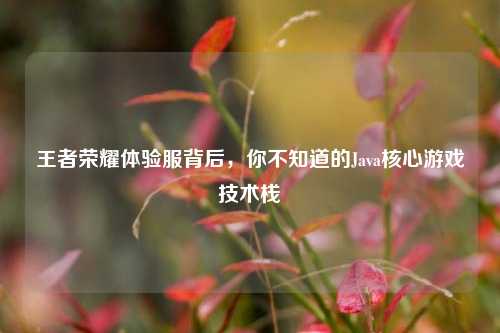 王者荣耀体验服背后，你不知道的Java核心游戏技术栈