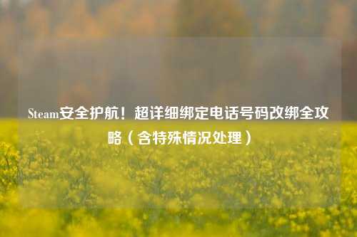 Steam安全护航！超详细绑定电话号码改绑全攻略（含特殊情况处理）