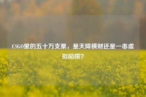 CSGO里的五十万支票，是天降横财还是一串虚拟陷阱？