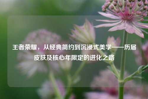 王者荣耀,从经典简约到沉浸式美学——历届皮肤及核心年限定的进化之路