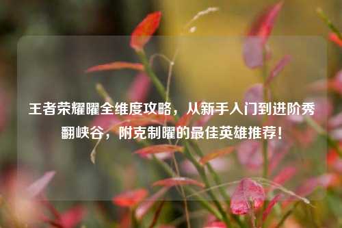 王者荣耀曜全维度攻略,从新手入门到进阶秀翻峡谷,附克制曜的最佳英雄推荐!