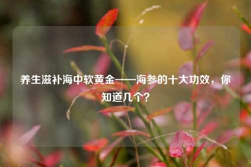 养生滋补海中软黄金——海参的十大功效,你知道几个?