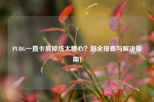 PUBG一直卡屏掉线太糟心？超全排查与解决指南！