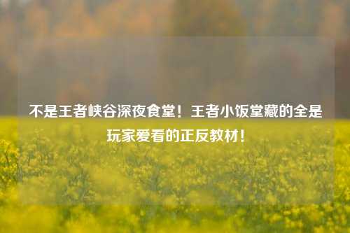 不是王者峡谷深夜食堂!王者小饭堂藏的全是玩家爱看的正反教材!