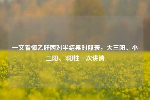 一文看懂乙肝两对半结果对照表,大三阳、小三阳、3阳性一次讲清