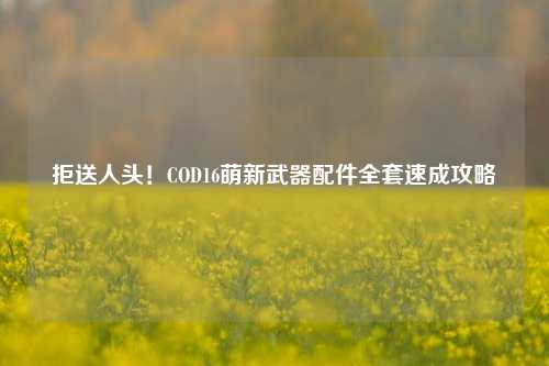 拒送人头!COD16萌新武器配件全套速成攻略
