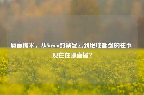 魔音糯米,从Steam封禁疑云到绝地翻盘的往事 现在在哪直播?