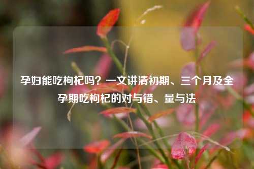 孕妇能吃枸杞吗?一文讲清初期、三个月及全孕期吃枸杞的对与错、量与法