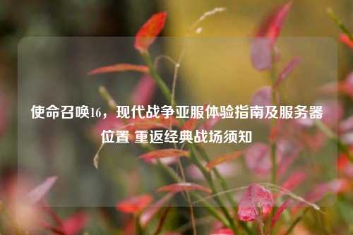 使命召唤16，现代战争亚服体验指南及服务器位置 重返经典战场须知
