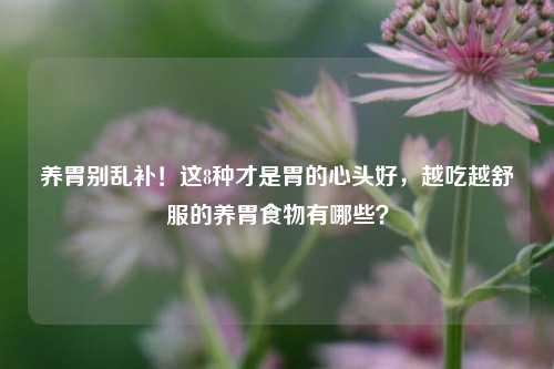养胃别乱补！这8种才是胃的心头好，越吃越舒服的养胃食物有哪些？