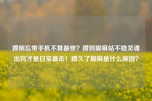 蹲厕忘带手机不算最惨?蹲到脚麻站不稳灵魂出窍才是日常暴击!蹲久了脚麻是什么原因?