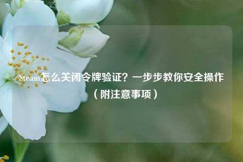 Steam怎么关闭令牌验证？一步步教你安全操作（附注意事项）