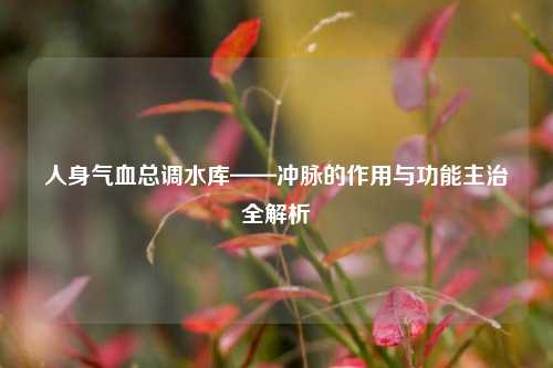 人身气血总调水库——冲脉的作用与功能主治全解析