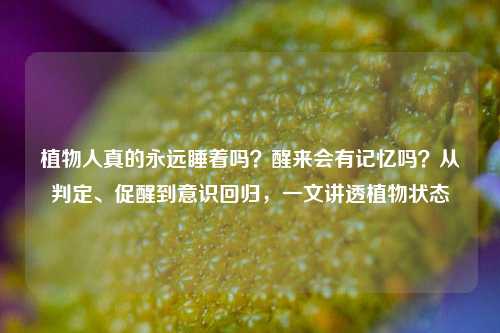 植物人真的永远睡着吗?醒来会有记忆吗?从判定、促醒到意识回归,一文讲透植物状态