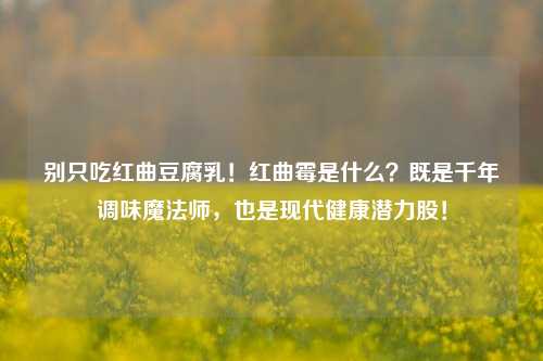 别只吃红曲豆腐乳!红曲霉是什么?既是千年调味魔法师,也是现代健康潜力股!