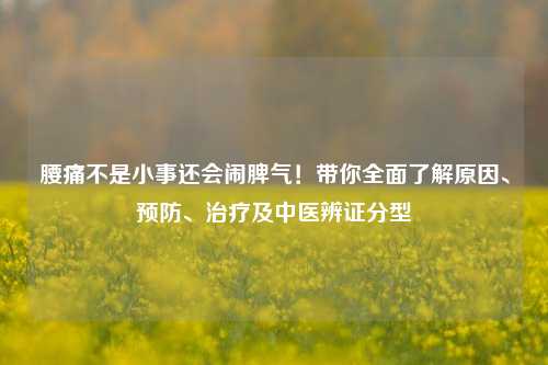 腰痛不是小事还会闹脾气!带你全面了解原因、预防、治疗及中医辨证分型
