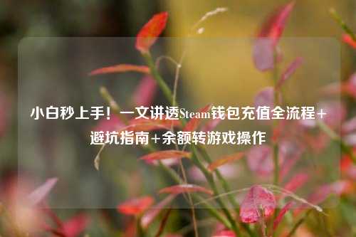 小白秒上手！一文讲透Steam钱包充值全流程+避坑指南+余额转游戏操作