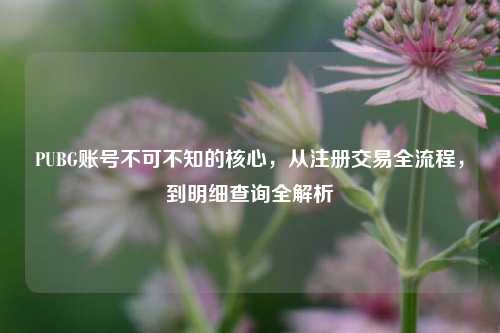 PUBG账号不可不知的核心，从注册交易全流程，到明细查询全解析