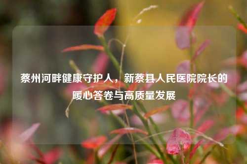 蔡州河畔健康守护人,新蔡县人民医院院长的暖心答卷与高质量发展