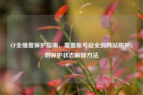 CF全维度保护指南，覆盖账号安全到网站防护，附保护状态解除方法