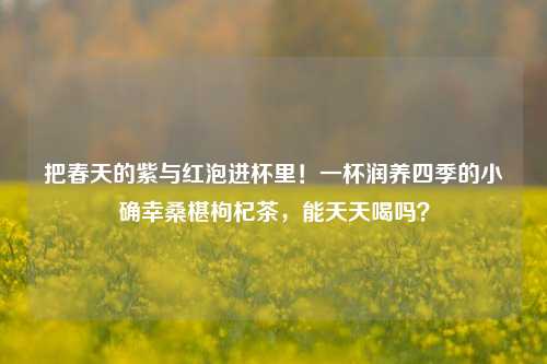 把春天的紫与红泡进杯里!一杯润养四季的小确幸桑椹枸杞茶,能天天喝吗?