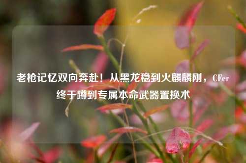 老枪记忆双向奔赴!从黑龙稳到火麒麟刚,CFer终于蹲到专属本命武器置换术