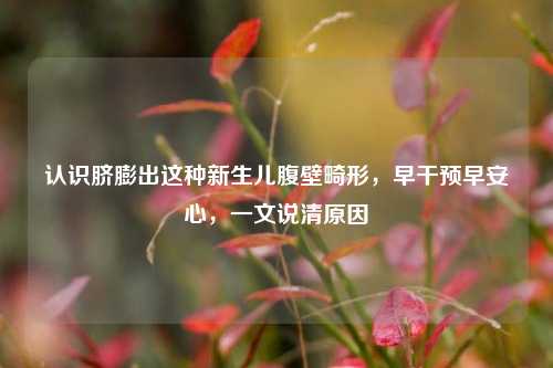 认识脐膨出这种新生儿腹壁畸形,早干预早安心,一文说清原因