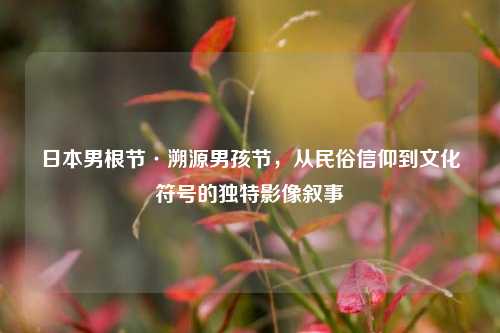 日本男根节·溯源男孩节,从民俗信仰到文化符号的独特影像叙事