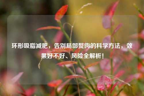 环形吸脂减肥,告别局部赘肉的科学方法,效果好不好、风险全解析!