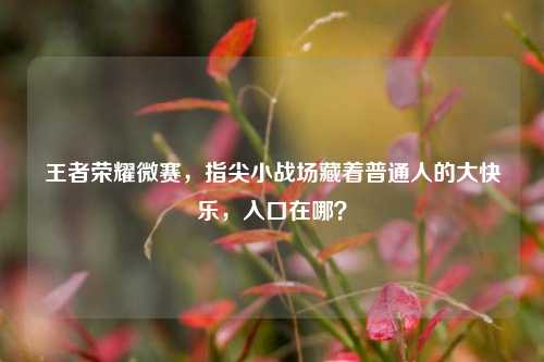 王者荣耀微赛,指尖小战场藏着普通人的大快乐,入口在哪?