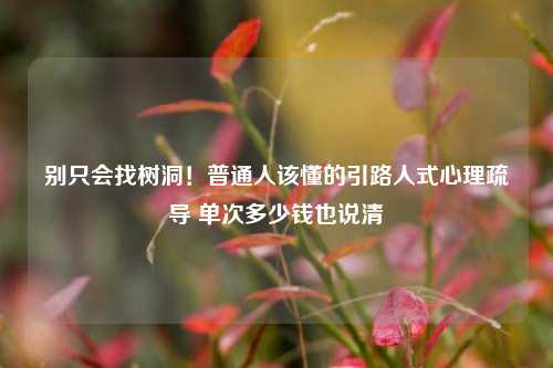别只会找树洞!普通人该懂的引路人式心理疏导 单次多少钱也说清
