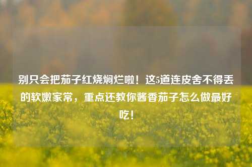 别只会把茄子红烧焖烂啦！这5道连皮舍不得丢的软嫩家常，重点还教你酱香茄子怎么做最好吃！