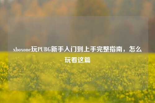xboxone玩PUBG新手入门到上手完整指南,怎么玩看这篇